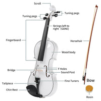 【Do Not Sell on AmazonFull Size 4/4 Violin Set for Adults Beginners Students with Hard Case,Violin Bow,Shoulder Rest,Rosin,Extra Strings and Sordine