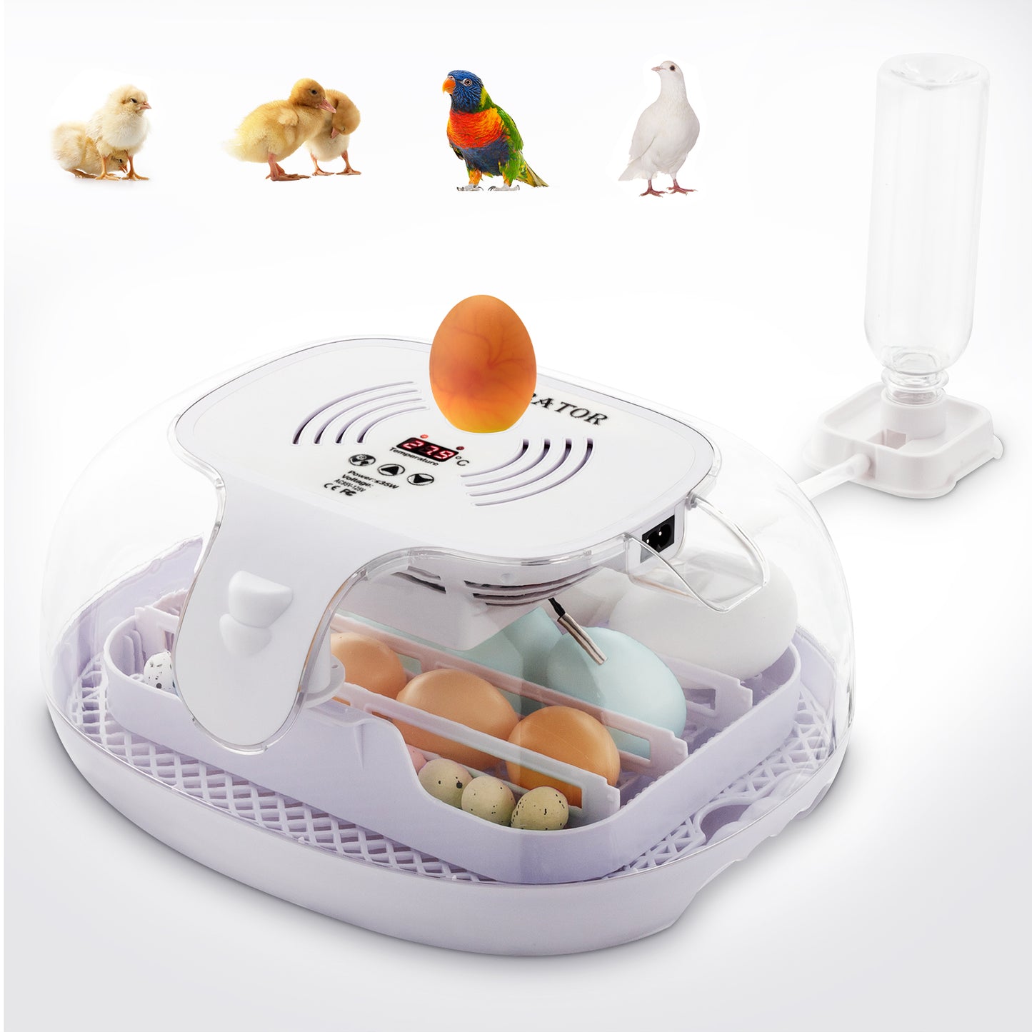 Incubators for Hatching Eggs, 360 Degree View， 16 Eggs Incubator with Automatic Egg Turning, Egg Candler and Automatic Water Adding Function for Hatching Chicken Duck Quail Goose Birds