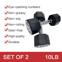 APOLLO IR3920 Premium Octagonal Dumbbell, Large Numbers, Hard Chrome Plated Handle Dumbbells to Assist with Push-Ups, 10 lbs set of 2