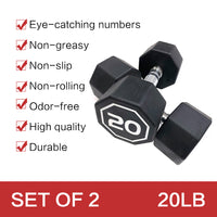 APOLLO IR3920 Premium Octagonal Dumbbell, Large Numbers, Hard Chrome Plated Handle Dumbbells to Assist with Push-Ups, 20 lbs set of 2