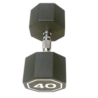 40LBS  APOLLO IR3920 Premium Octagonal Dumbbell, Large Numbers, Hard Chrome Plated Handle Dumbbells to Assist with Push-Ups