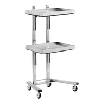 2 Tier Beauty Salon SPA Rolling Cart with Double Storage Tray Stainless Steel