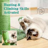 Cactus Cat Tree Cat Scratcher with Sisal Scratching Post and Interactive Dangling Ball For Indoor Cats Green