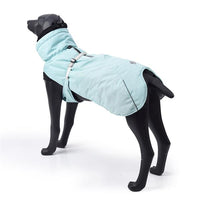 New Style Dog Winter Jacket with Waterproof Warm Polyester Filling Fabric--（Blue，size L）