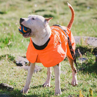 BLACKDOGGY Dog Coats Small Waterproof,Warm Outfit Clothes Dog Jackets Small,Adjustable Drawstring Warm And Cozy Dog Sport Vest-（orange，size M）