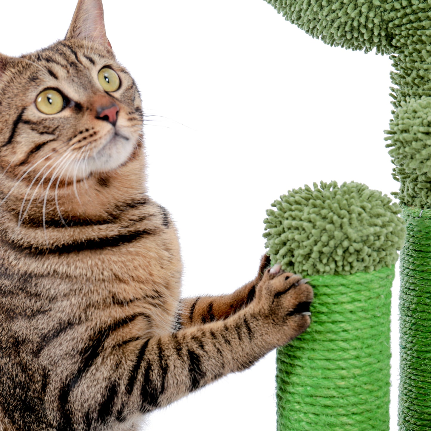 Cat Scratching Post Cactus Cat Scratcher Featuring with 3 Scratching Poles and Interactive Dangling Ball