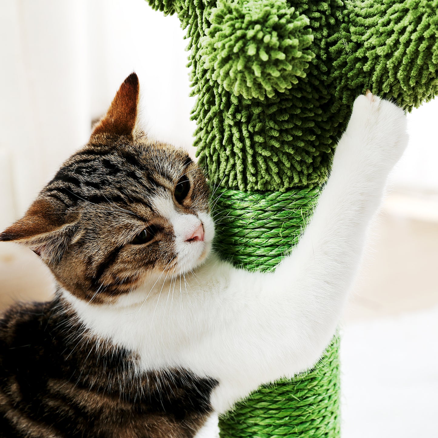 Cactus Cat Scratching Post 21.7'' Cat Scratcher with Sisal Rope for Small & Medium Cats Kittens Green