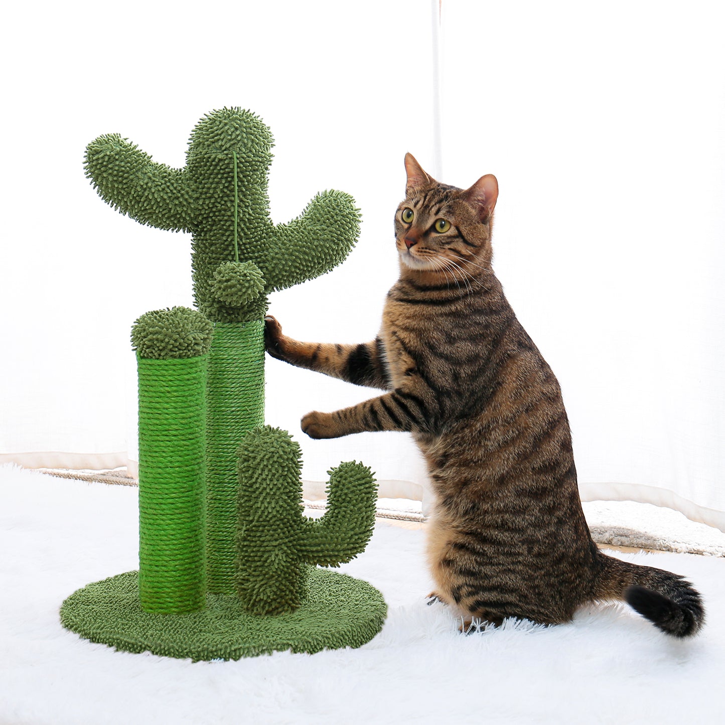 Cat Scratching Post Cactus Cat Scratcher Featuring with 3 Scratching Poles and Interactive Dangling Ball