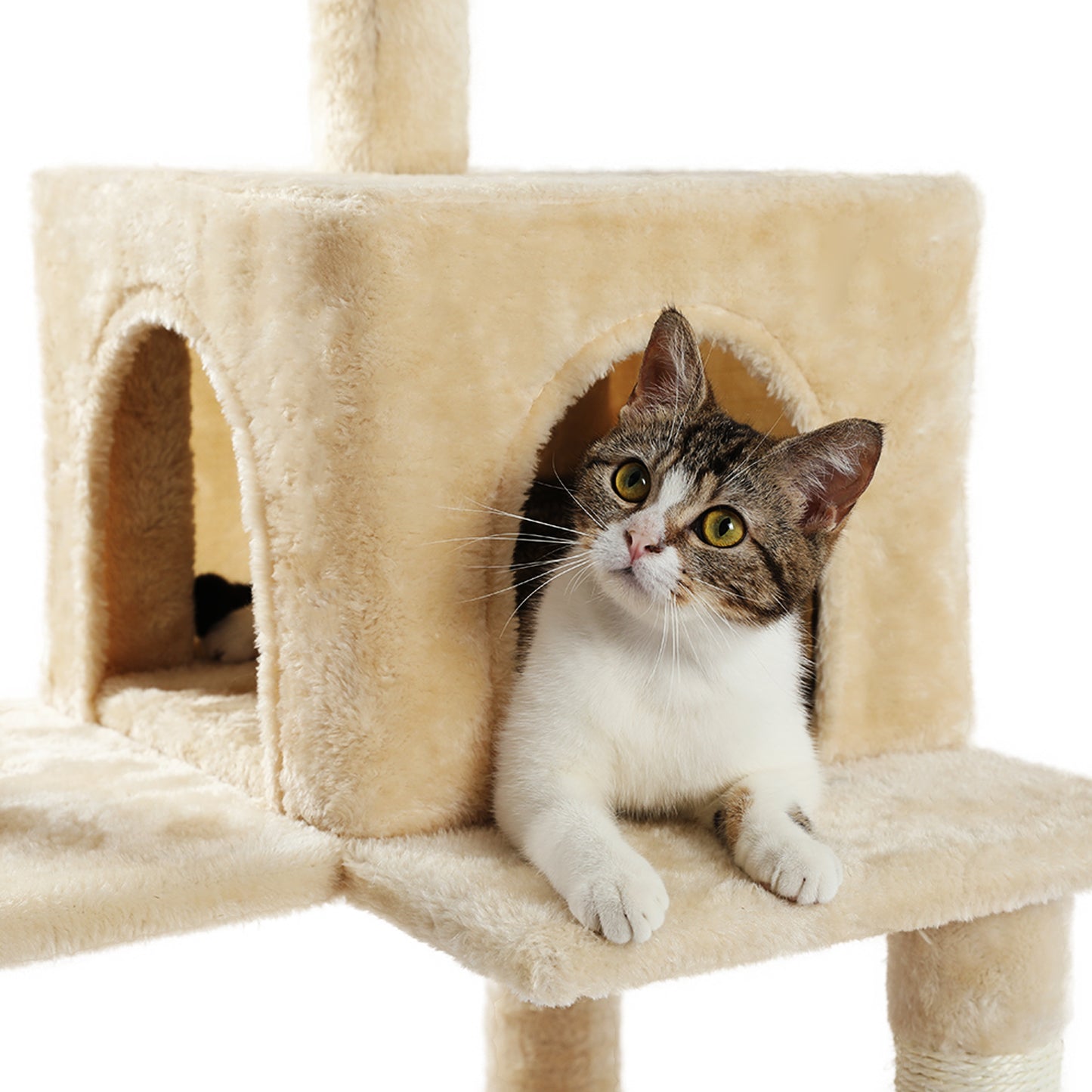 Luxury Cat Tree Cat Tower with Sisal Scratching Post, Cozy Condo, Top Perch, Hammock and Dangling Ball Beige (Minimum Retail Price for US: USD 99.99)