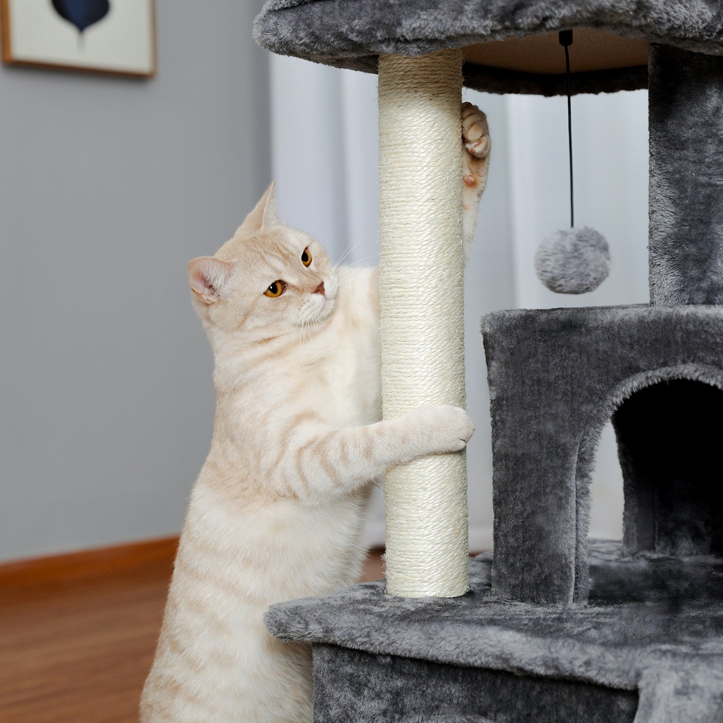 Modern Small Cat Tree Cat Tower With Double Condos Spacious Perch Sisal Scratching Posts，Climbing Ladder and Replaceable Dangling Balls Grey (Minimum Retail Price for US: USD 79.99)