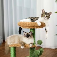 Cactus Cat Tree Cat Tower with Warmy Condo, Plush Perches, Sisal Scratching Post and Fluffy Balls for Small and Medium Cats (Minimum Retail Price for US: USD 59.99)