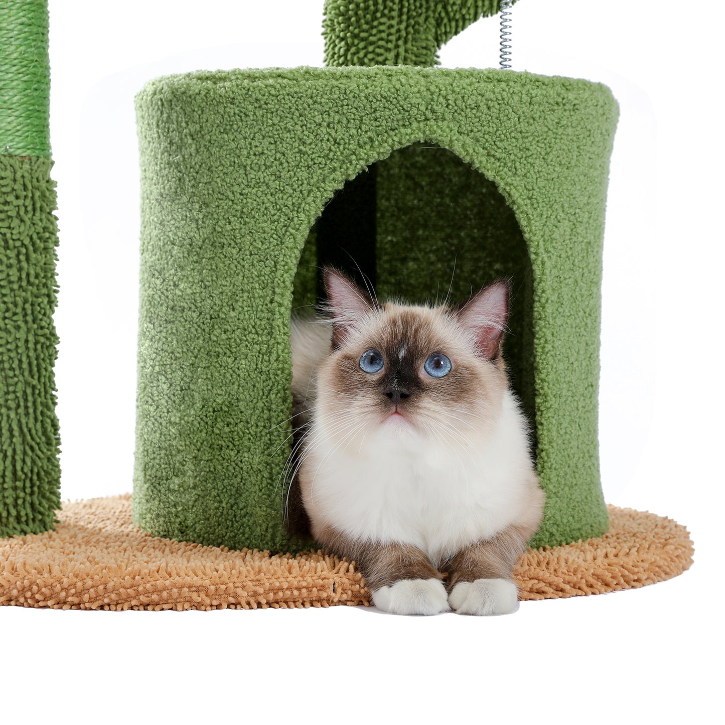 Cactus Cat Tree Cat Tower with Warmy Condo, Plush Perches, Sisal Scratching Post and Fluffy Balls for Small and Medium Cats (Minimum Retail Price for US: USD 59.99)