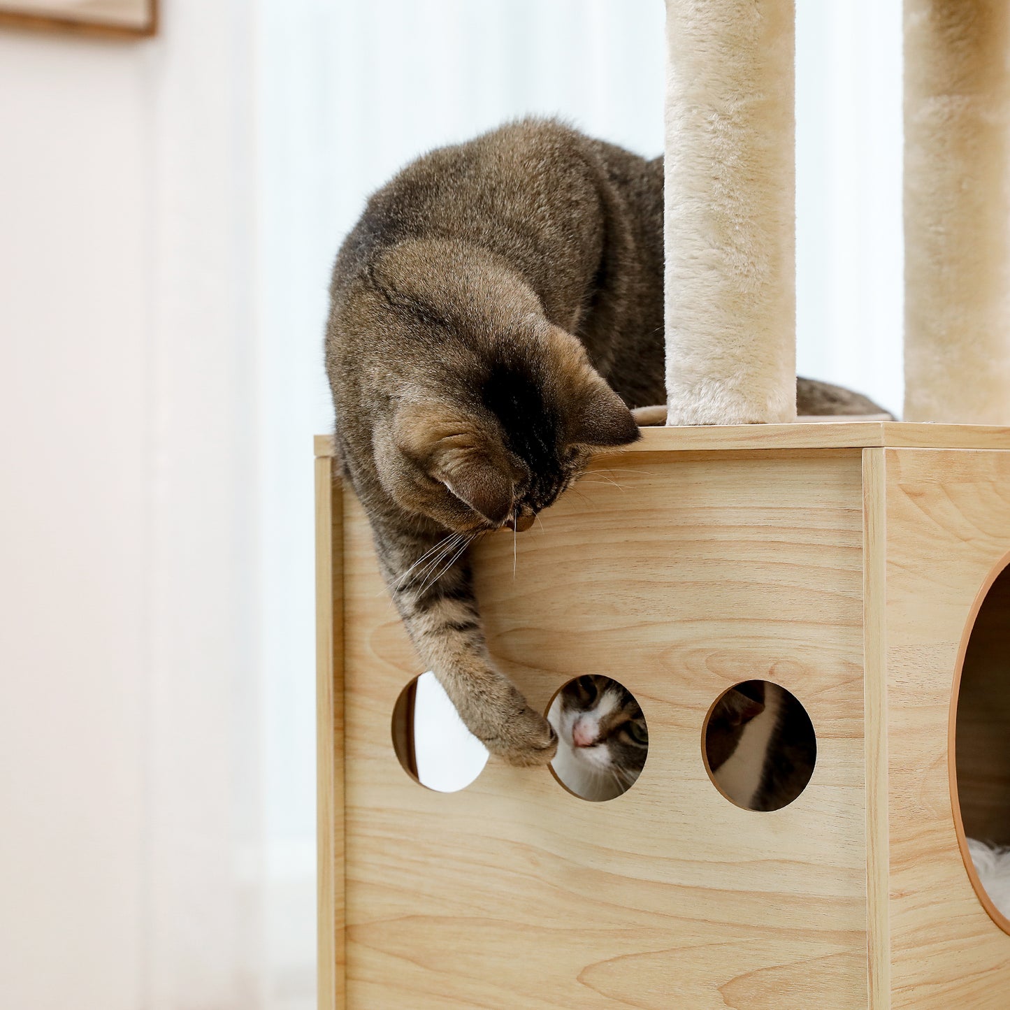 Modern Luxury Cat Tree Wooden Multi-Level Cat Tower Cat Sky Castle With 2 Cozy Condos, Cozy Perch, Spacious Hammock And Interactive Dangling Ball (Minimum Retail Price for US: USD 132.99)