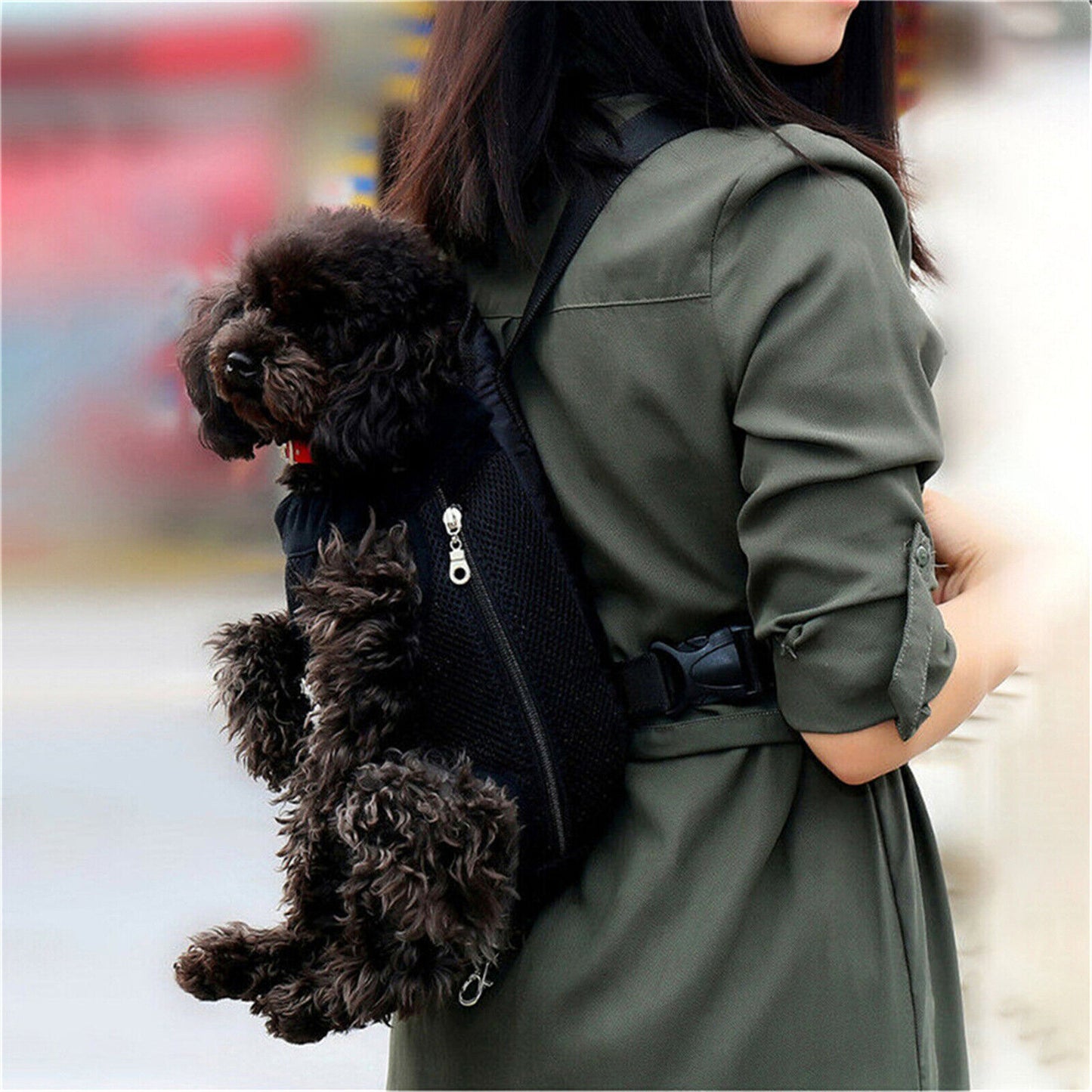 Small Pet Cat Puppy Dog Carrier Front Pack Hiking Backpack Head Legs Out Black