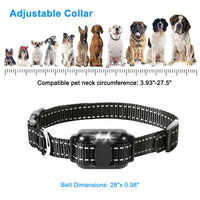 1968 FT Dog Training Collar Rechargeable Remote Shock PET Waterproof Trainer USA