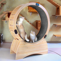 Cat Exercise Wheel – Running, Spinning, and Scratching Fun, Cat Treadmill with Carpeted Runway, Kitty Cat Sport Toy, Great for Physical Activity and Reducing Boredom