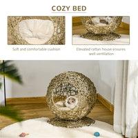 Pet Cat Bed/Cat House