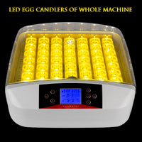 56-Egg Practical Fully Automatic Poultry Incubator with Egg Candler (US Standard) White