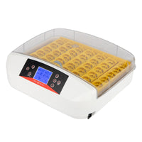 42-Egg Practical Fully Automatic Poultry Incubator with Egg Candler US Standard Yellow & & White & Transparent