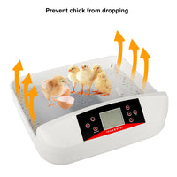 42-Egg Practical Fully Automatic Poultry Incubator with Egg Candler US Standard Yellow & & White & Transparent