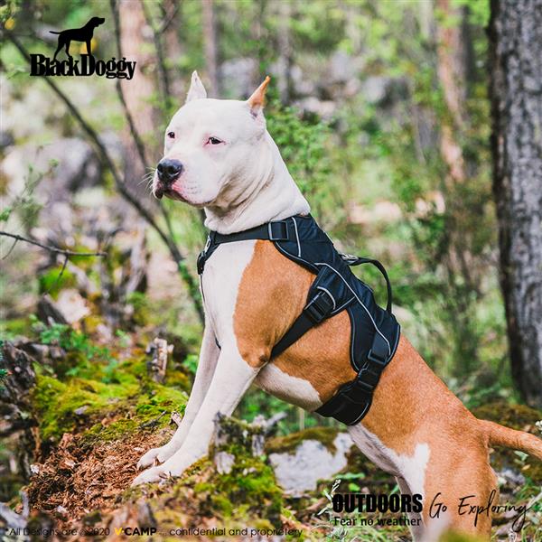 Professional Dog Harness Adjustable Pet Body Harness Vest Visible at Night Outdoor Training Harnesses Premium Quality Chest Straps No-Pull Effect--（black，size L）