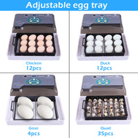 12-Egg Adjustable Egg Tray Practical Fully Automatic Poultry Incubator Set US Plug