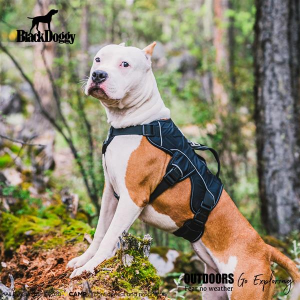 Professional Dog Harness Adjustable Pet Body Harness Vest Visible at Night Outdoor Training Harnesses Premium Quality Chest Straps No-Pull Effect--（black，size L）