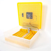 48-Egg Practical Fully Automatic Poultry Incubator (US Standard) Yellow & Transparent