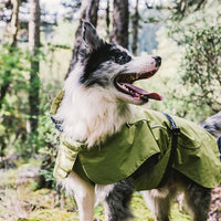 Dog Coats Small Waterproof,Warm Outfit Clothes Dog Jackets Small,Adjustable Drawstring Warm And Cozy Dog Sport Vest-（Green size 2XL）