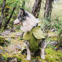 Dog Coats Small Waterproof,Warm Outfit Clothes Dog Jackets Small,Adjustable Drawstring Warm And Cozy Dog Sport Vest-（Green size 2XL）