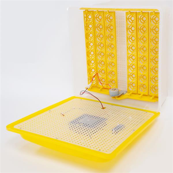 48-Egg Practical Fully Automatic Poultry Incubator (US Standard) Yellow & Transparent