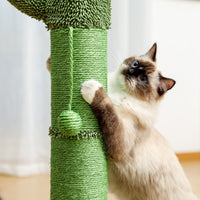 Cactus Cat Tree Cat Scratcher with Sisal Scratching Post and Interactive Dangling Ball For Indoor Cats Green