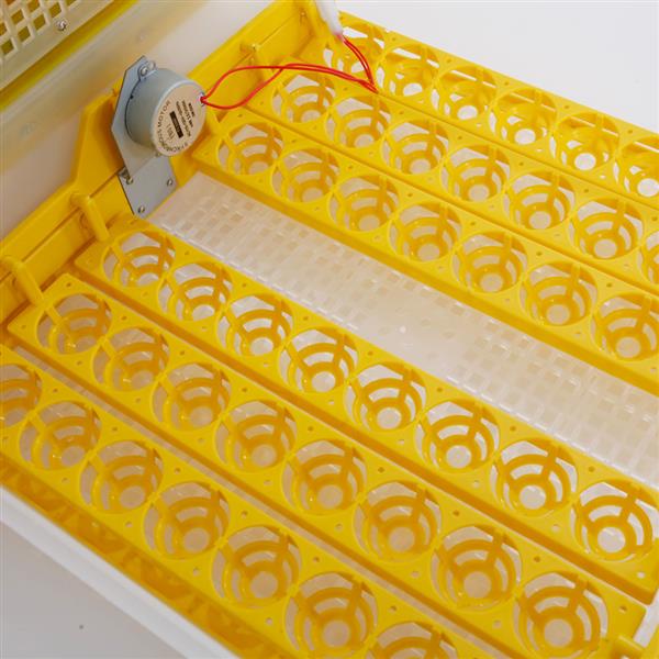 48-Egg Practical Fully Automatic Poultry Incubator (US Standard) Yellow & Transparent