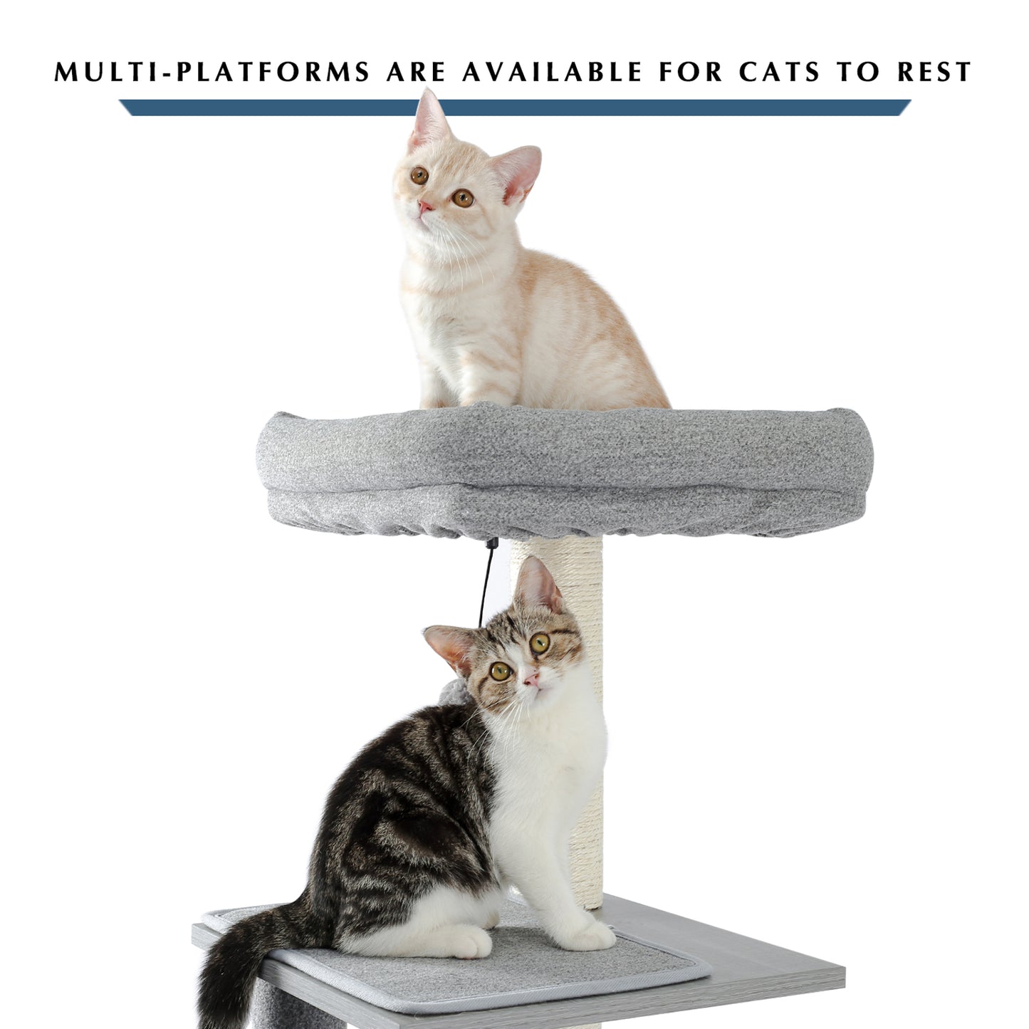 Modern Wood Cat Tree Tower With Scratching Posts, 2 Condos And Top Perch For Small&Medium Cat Grey (Minimum Retail Price for US: USD 119.99)